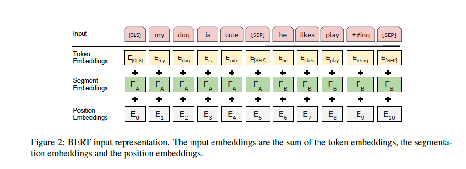 BERT input representation — token, segment, and position embeddings summed