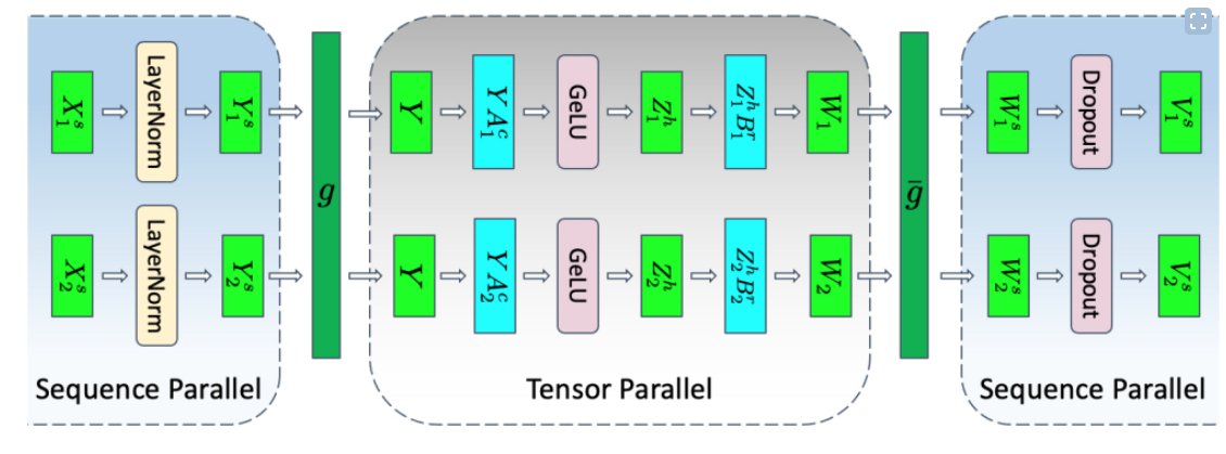 Sequence parallelism diagram — LayerNorm and Dropout operations partitioned along the sequence dimension to reduce redundant activation memory