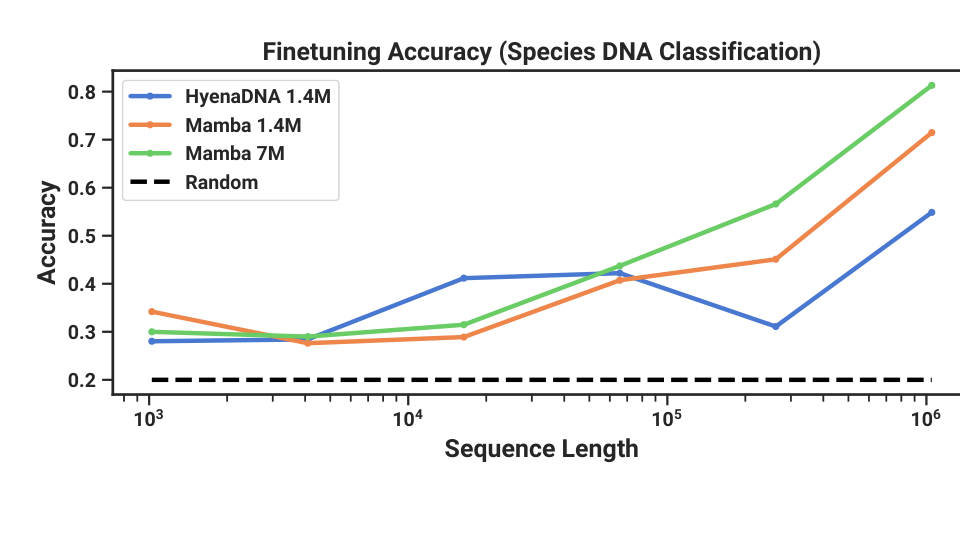 Figure 6 from the Mamba paper: great-apes DNA classification accuracy against sequence length