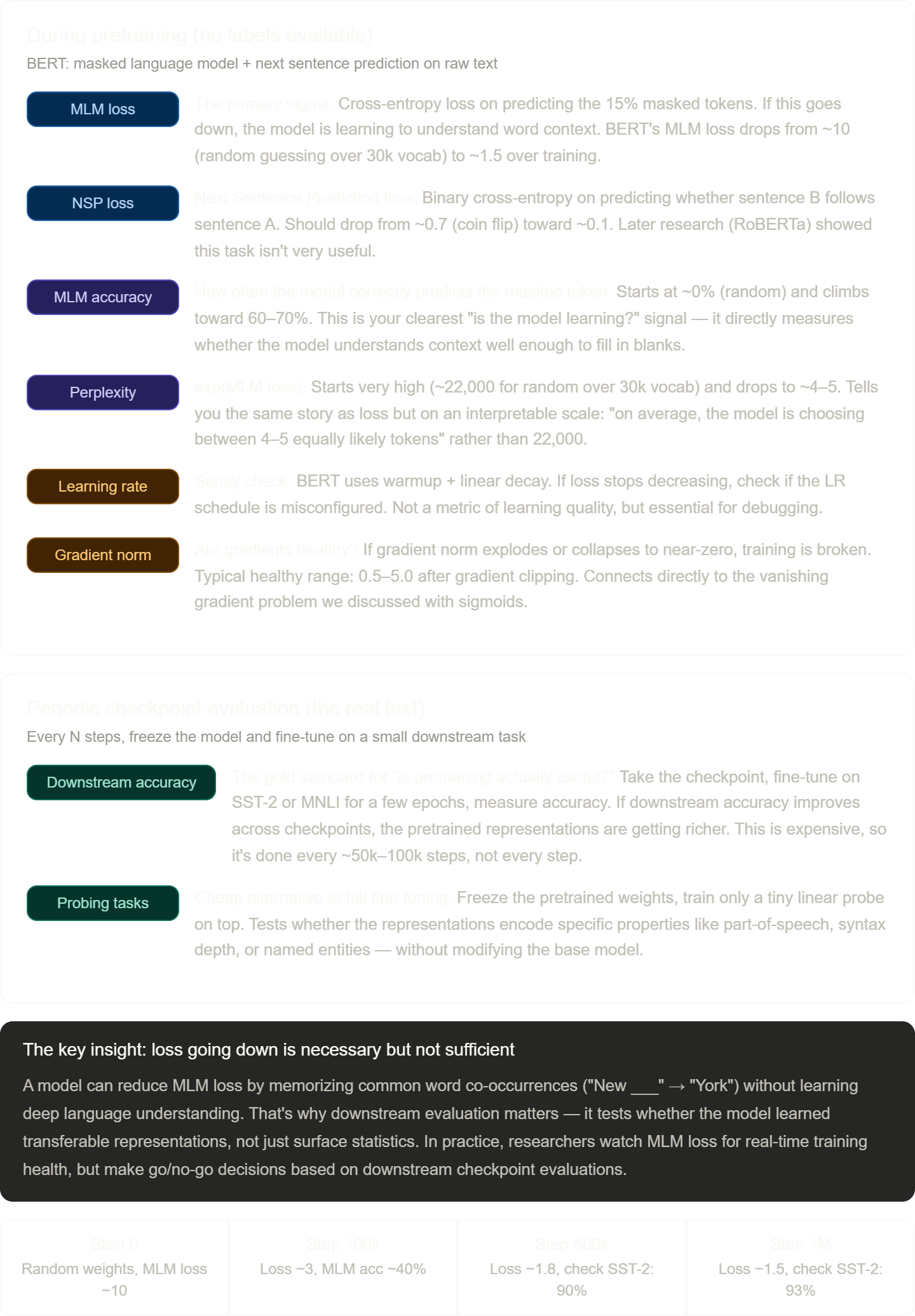 BERT pretraining monitoring — MLM loss curve decreasing and MLM accuracy increasing over training steps, with checkpoint fine-tuning on downstream tasks to validate representation quality