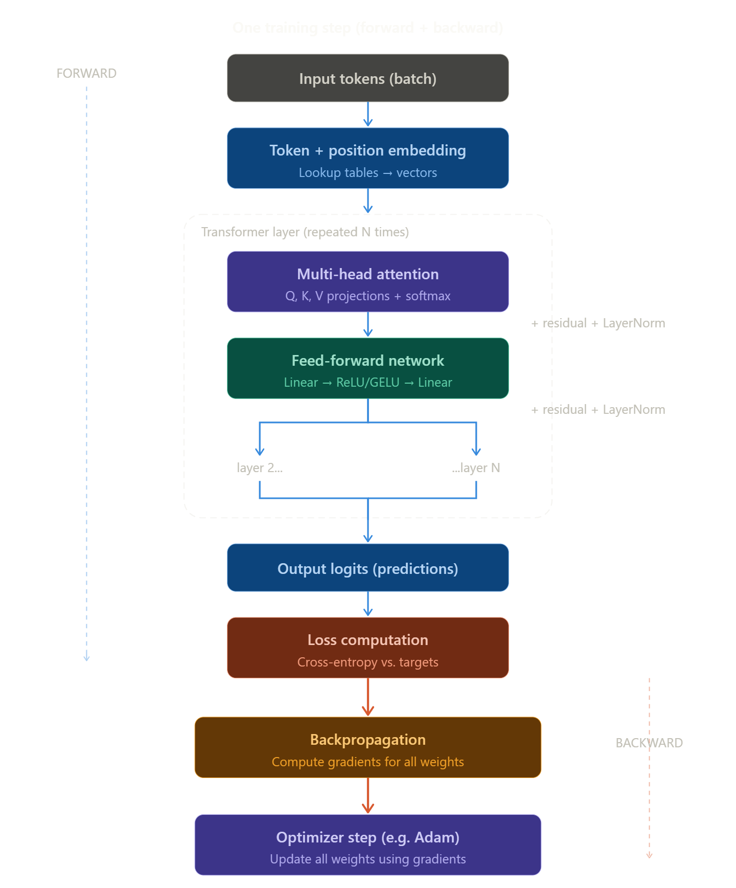 Diagram of a single training step: forward pass (blue, top to bottom), loss computation, backward pass (orange, bottom to top), optimizer step
