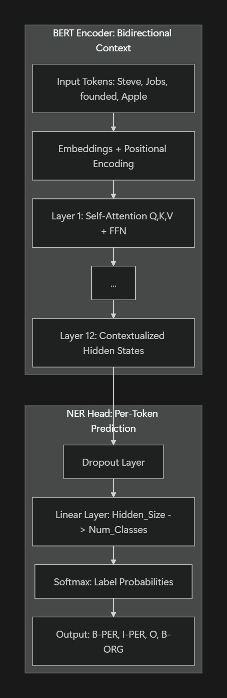 BERT encoder-only architecture
